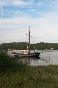Se billedet i fuld størrelse image