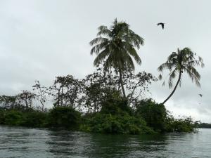 Río Dulce og Tikal